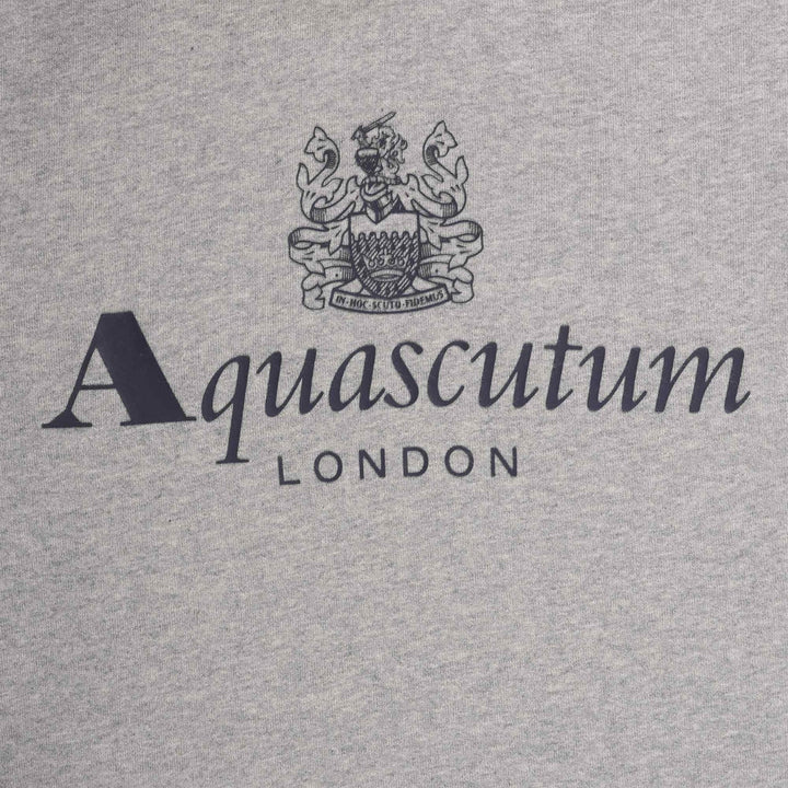 ACTIVE BIG LOGO HOODIE  FLEECE LIGHT MELANGE GREY S